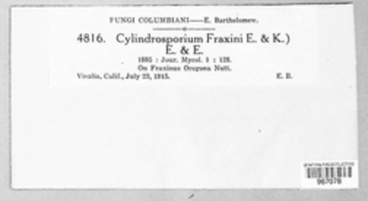 Mycosphaerella fraxini image